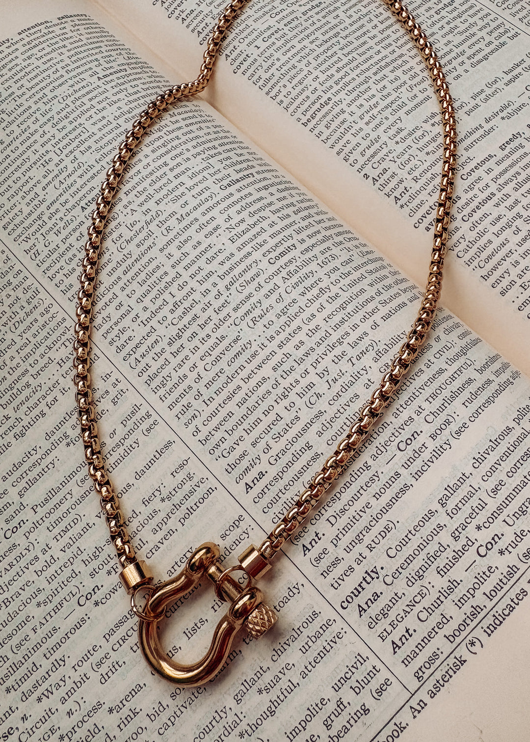 Aria Equestrian Necklace
