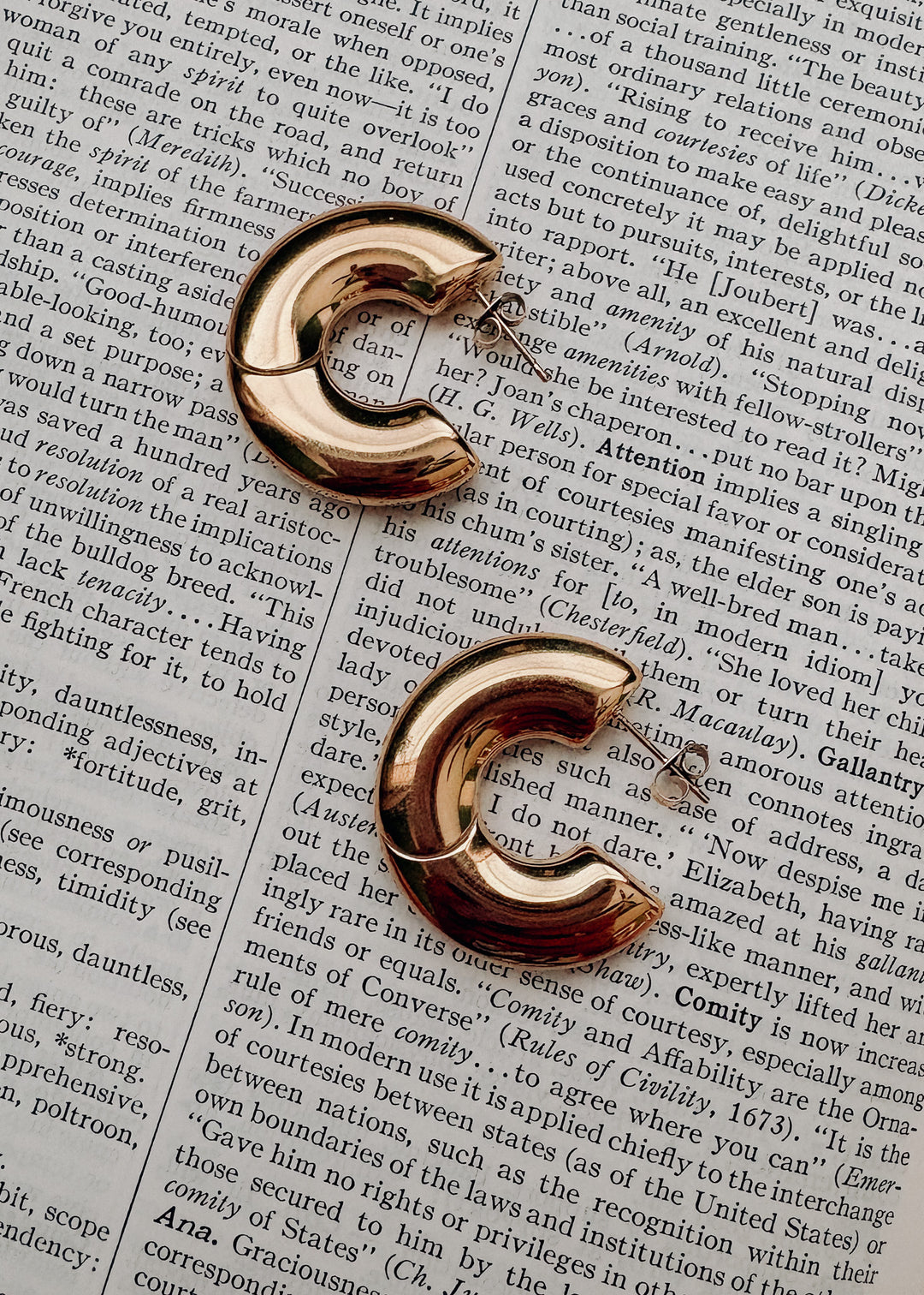Kyla Hoop Earring