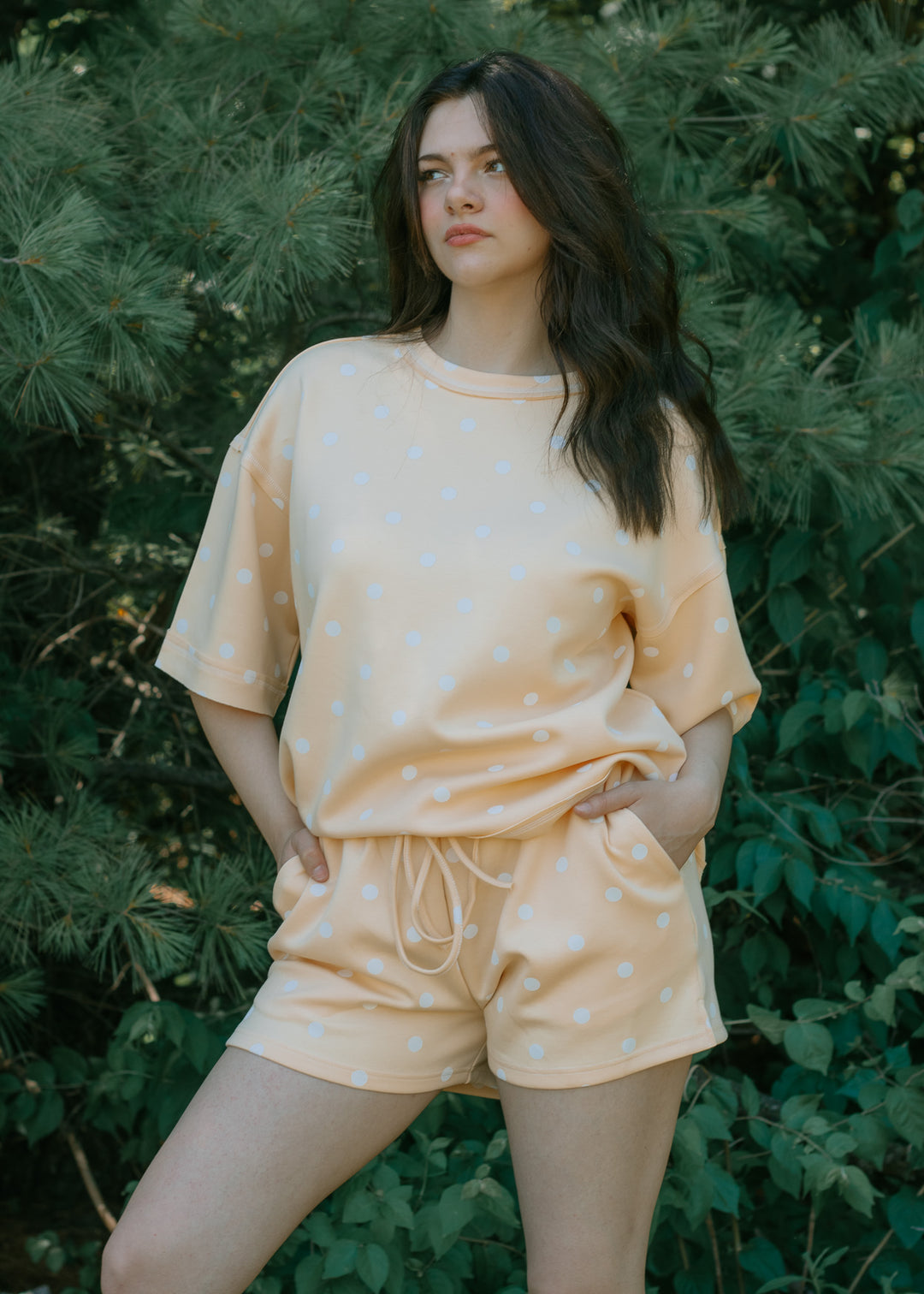 Lemonade on the Lawn Set