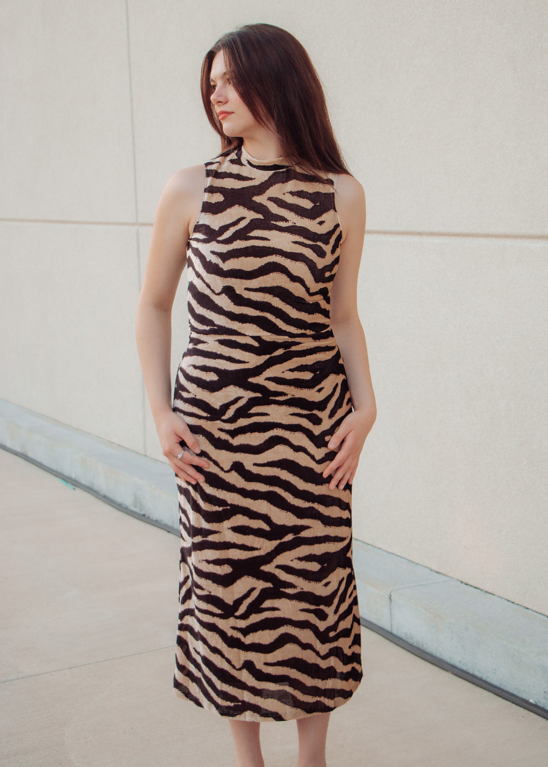 First Impression Zebra Midi Dress L