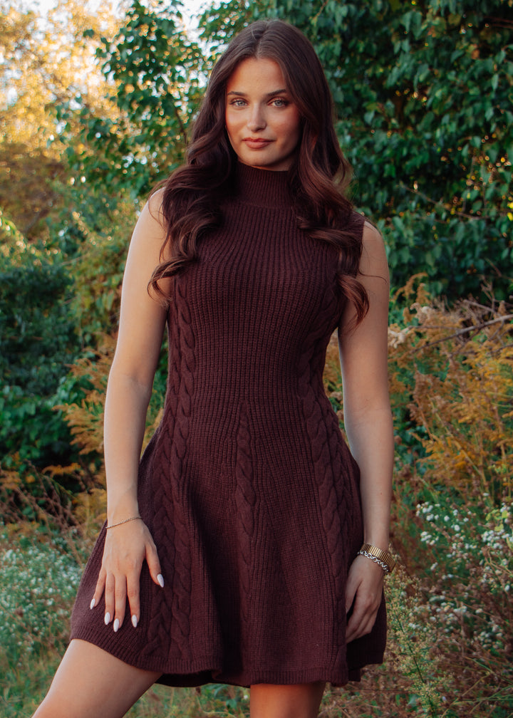 Hot Cocoa Cable Knit Sweater Dress