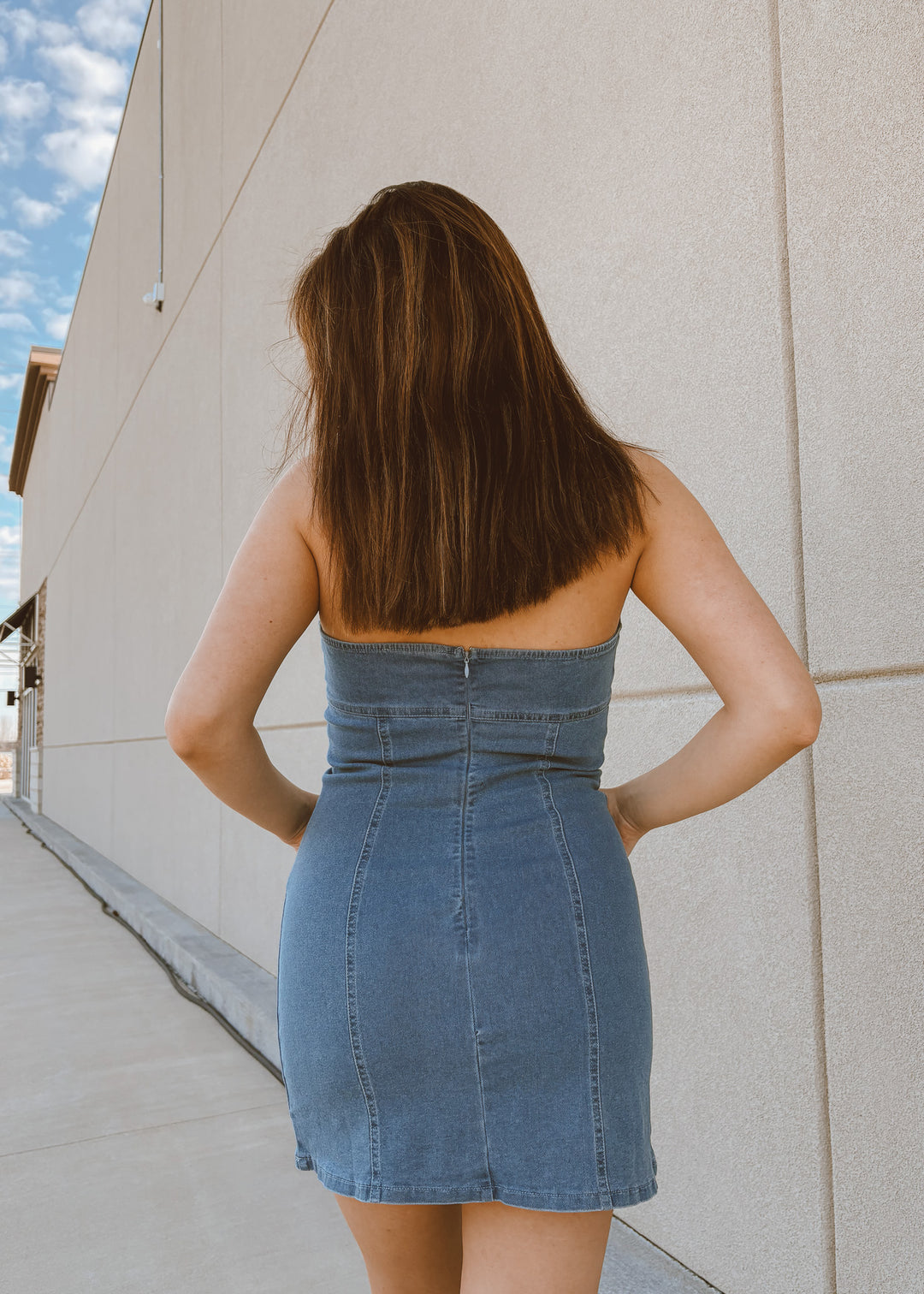 Suzanne Mini Halter Denim Dress